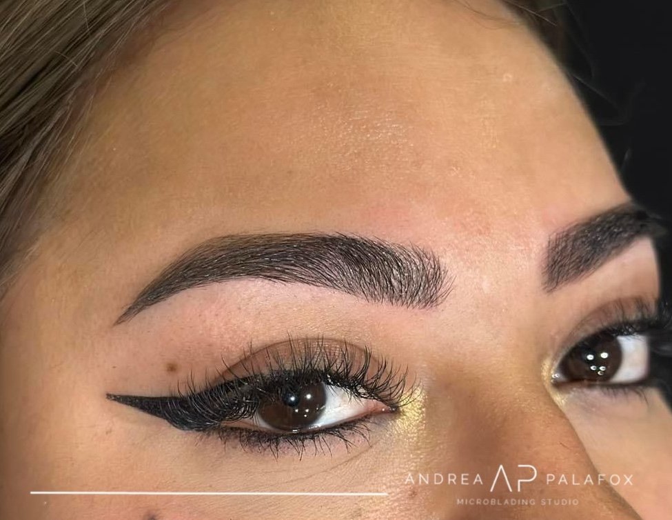 AP_Microblading_Dallas_Andrea_Palafox1